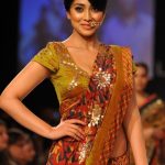 Shriya Saran (7)