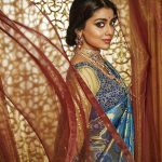 Shriya Saran Recent HD Photoshoot for CMR Shopping Mall (11)