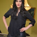 Shruti-Hassan (23)