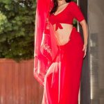 Sunny Leone Spicy Images In Red Saree (3)