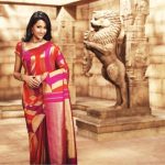 Trisha in Pothys AD (2)