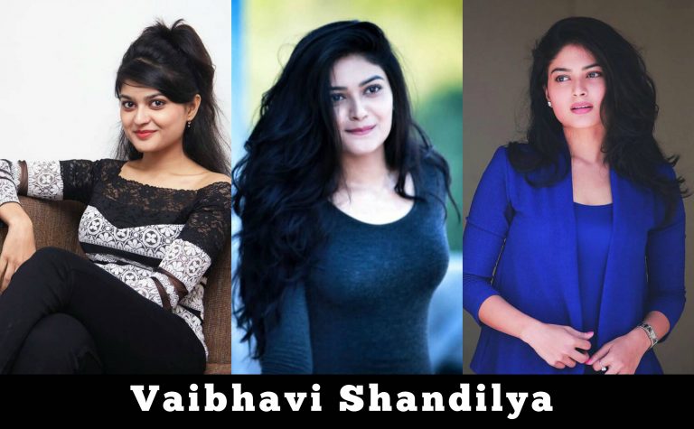 Sakka Podu Podu Raja Actress Vaibhavi Shandilya Latest HD Gallery