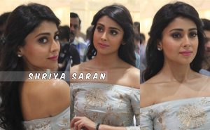 Actress Shriya Saran cute gallery