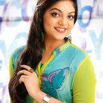 Ahaana Krishna (7)