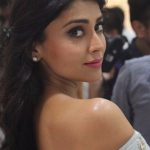 Shriya Saran (11)