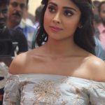 Shriya Saran (16)