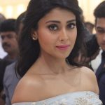 Shriya Saran (21)