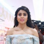 Shriya Saran (4)