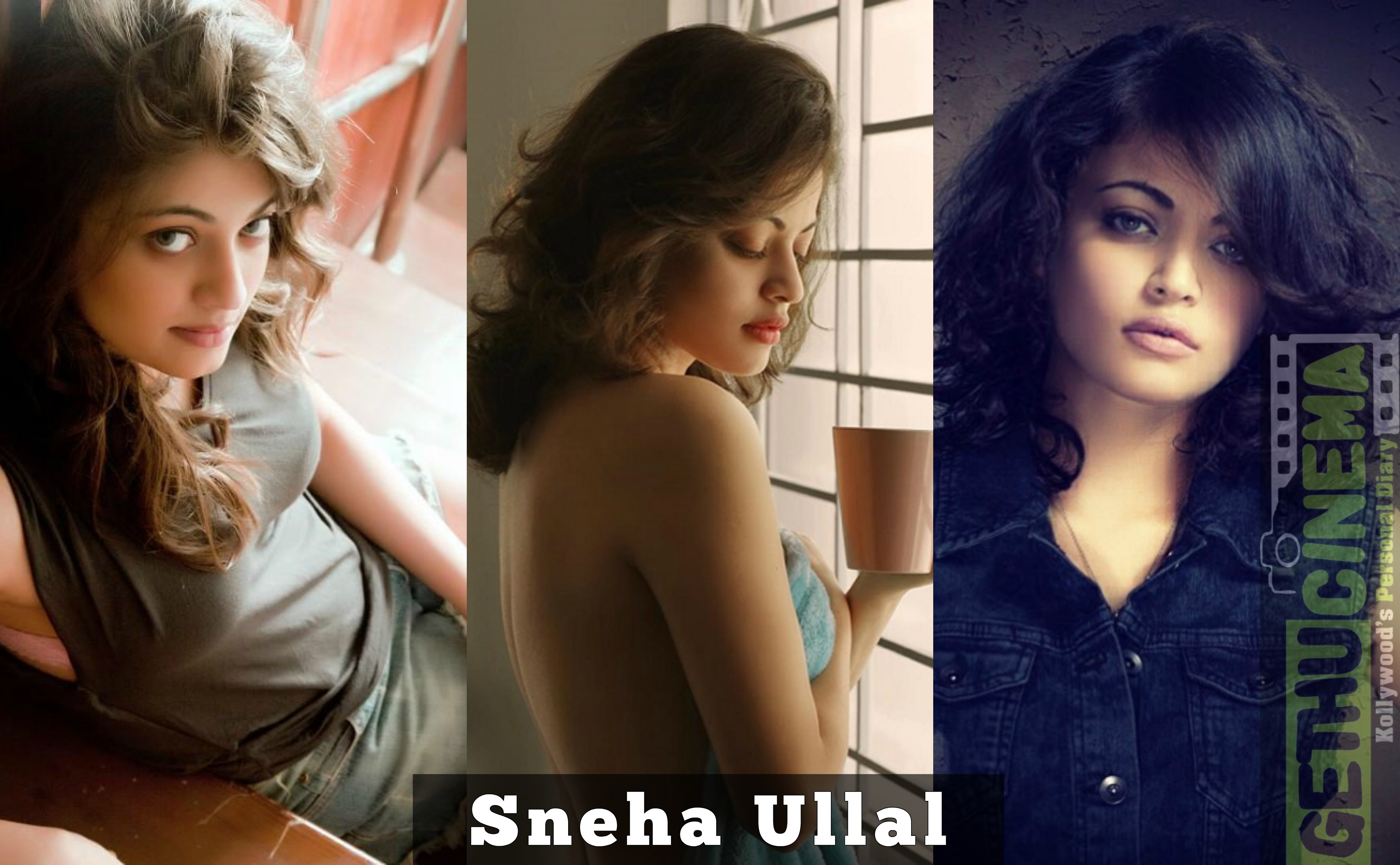 Snaga Sex Video - Actress Sneha Ullal 2016 Latest HD gallery - Gethu Cinema