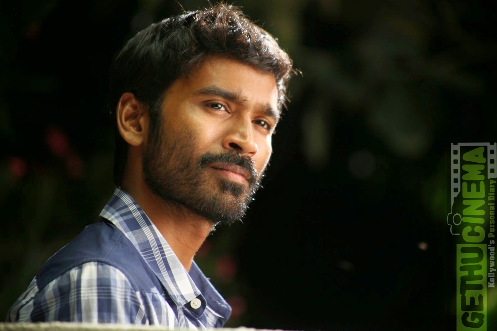 dhanush 223