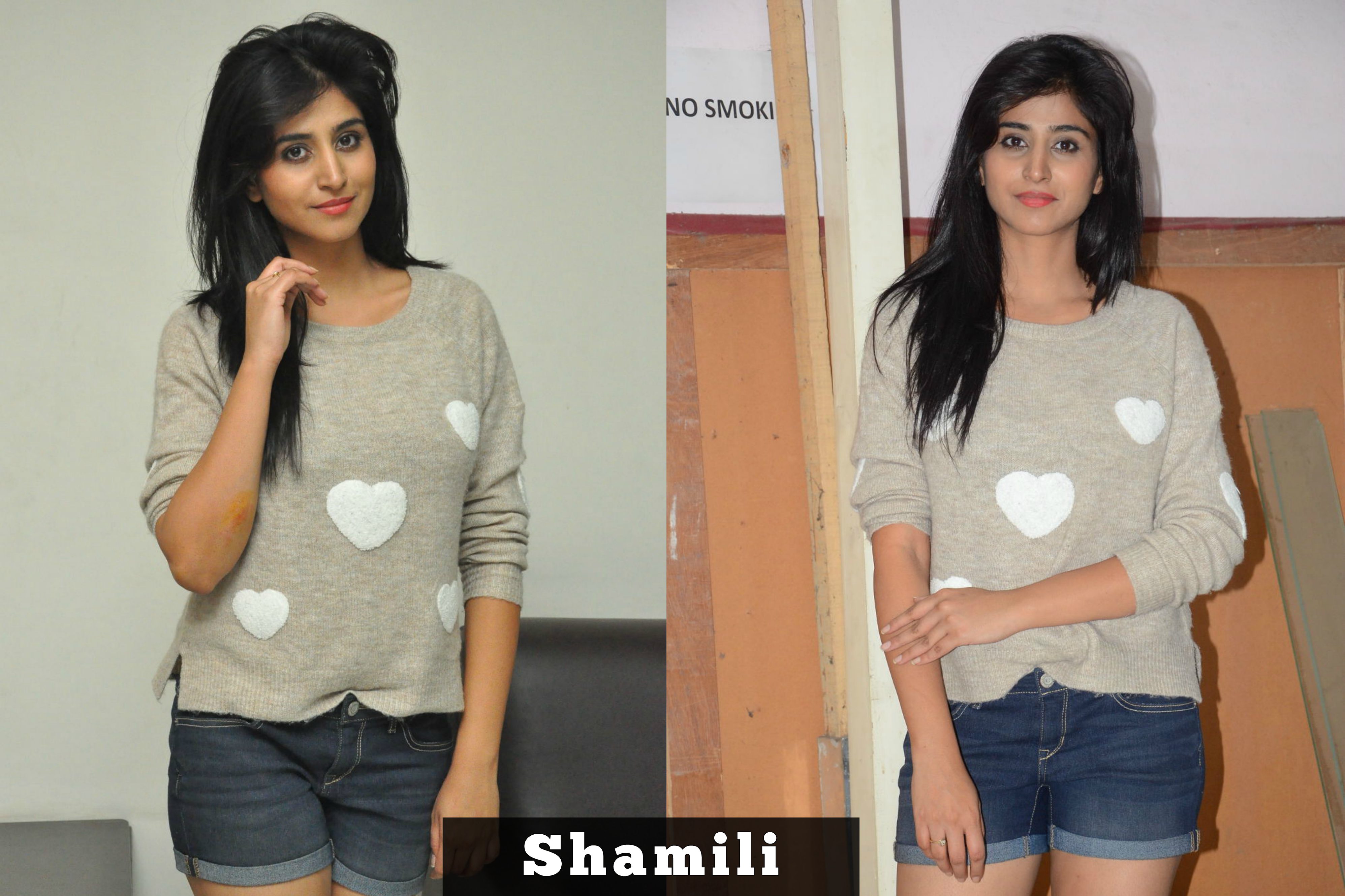 Shamili  (1)