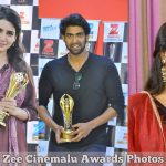 Zee Cinemalu Award Photos
