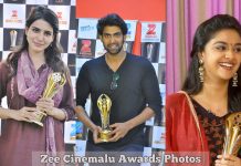 Zee Cinemalu Award Photos