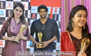 Zee Cinemalu Award Photos