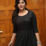 Anjali At Chitrangada  Success Meet Gallery (11)