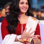 Baahubali2PreReleaseEvent  (16)