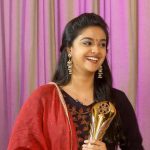 Zee Cinemalu Awards  (2)