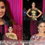 Zee Apsara Awards Celebrity