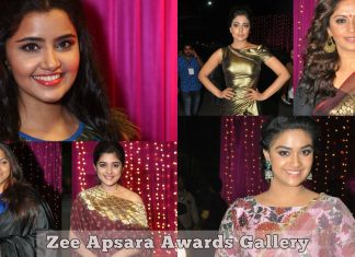 Zee Apsara Awards Celebrity