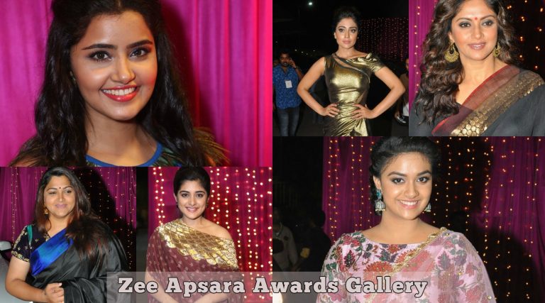 Zee Apsara Awards Celebrity