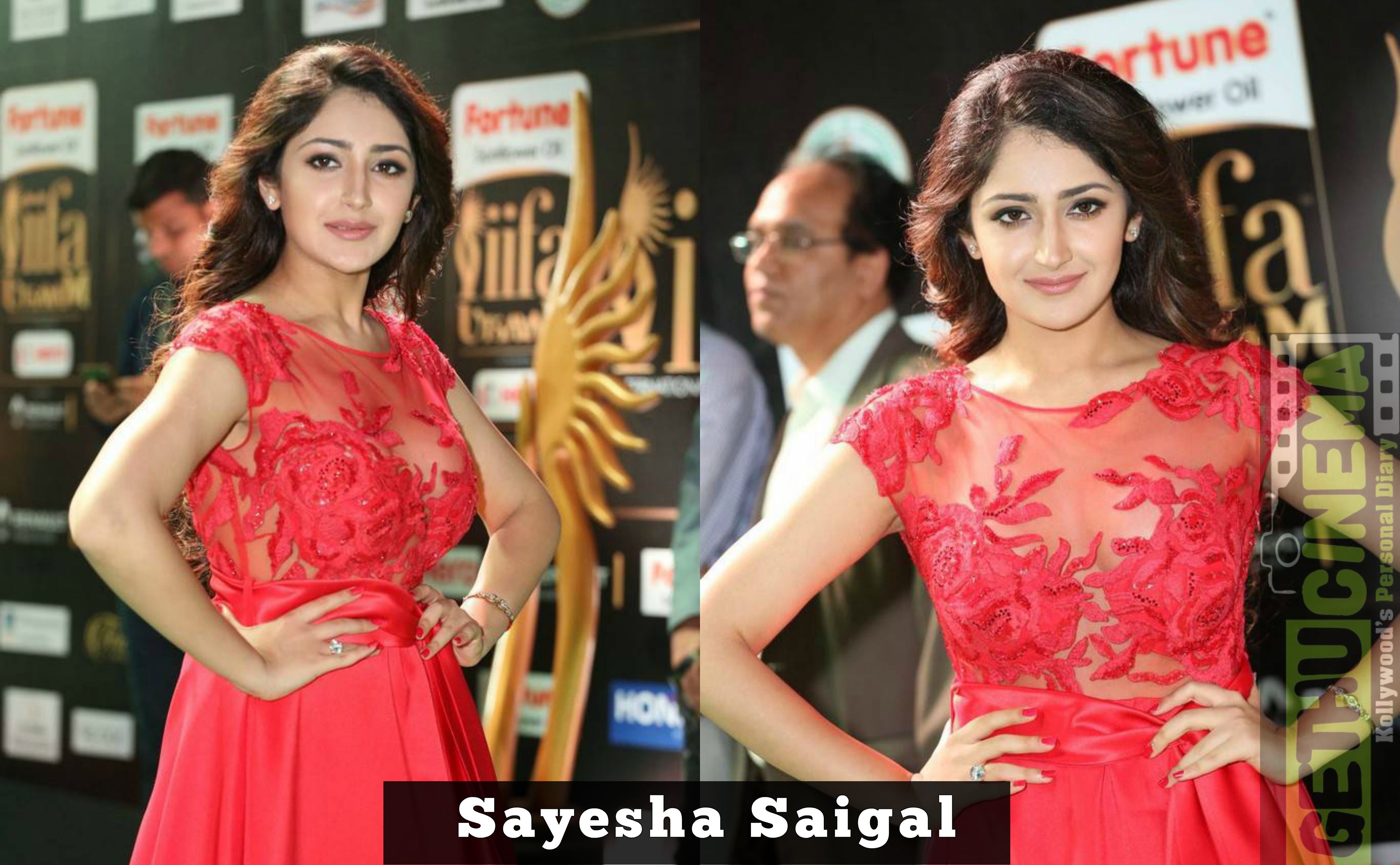Sayesha Saigal Hd Sexvideos - Actress Sayesha Saigal At IIFA Utsavam Awards 2017 Gallery - Gethu Cinema
