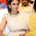 Rakul Preet Singh  2017 hd (22)