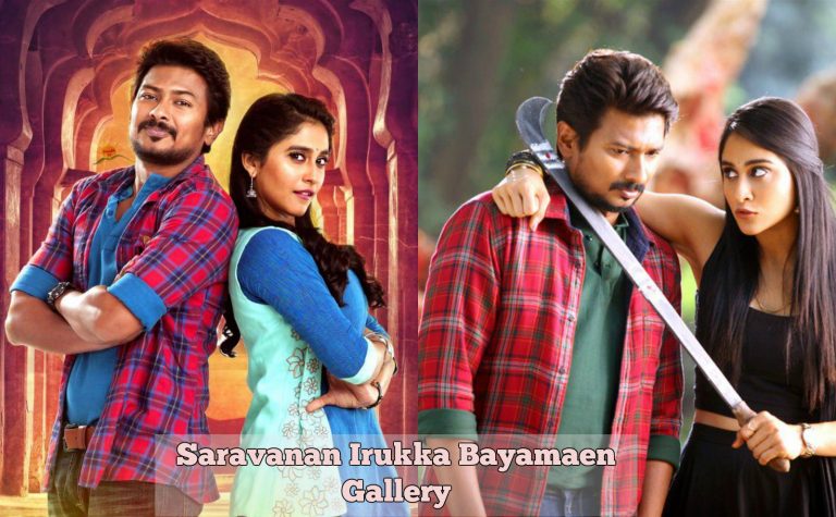 Saravanan Irukka Bayamaen Movie Latest Gallery | Udhayanidhi Stalin, Regina