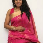 Saravanan Irukka Bayamaen Press Meet Stills  (10)