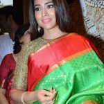 Shriya Saran 2017 hd latest (3)