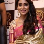 Shriya Saran 2017 hd latest (8)