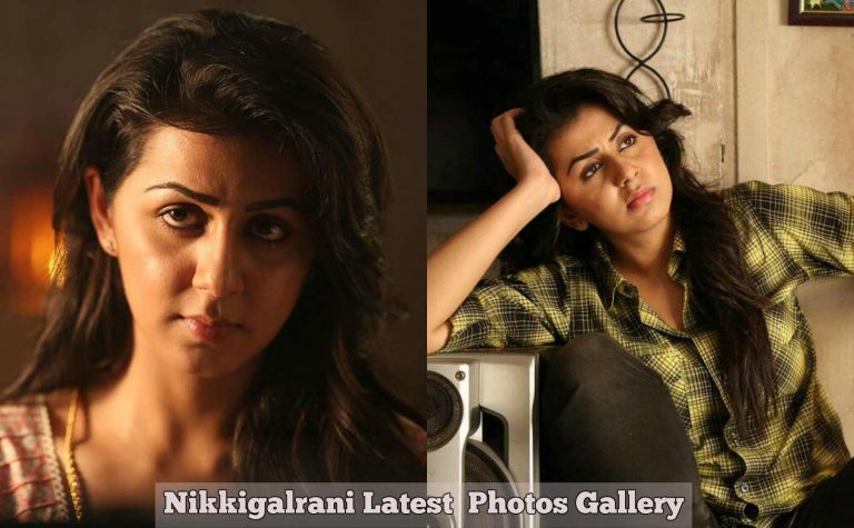 Nikkigalrani Latest Photos Gallery
