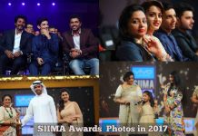SIIMA Awards Photos in 2017