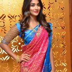 Pooja Hegde (12)