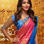 Pooja Hegde (5)