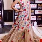 SIIMA Awards  Photos in 2017  (14)