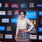 SIIMA Awards  Photos in 2017  (16)