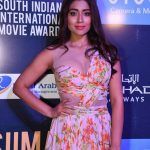 SIIMA Awards  Photos in 2017  (24)