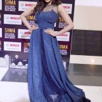 SIIMA Awards  Photos in 2017  (9)