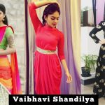 Vaibhavi Shandilya instgram Pictures (1)