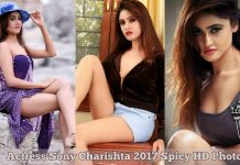 Actress Sony Charishta 2017 Spicy HD Photos