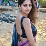 Actress Vedhika Latest HD Photos (18)