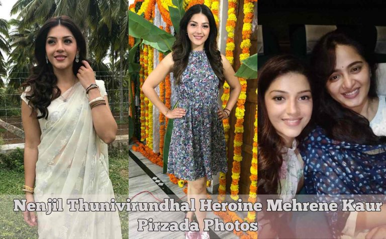 Nenjil Thunivirundhal Actress Mehrene Kaur Pirzada Photos