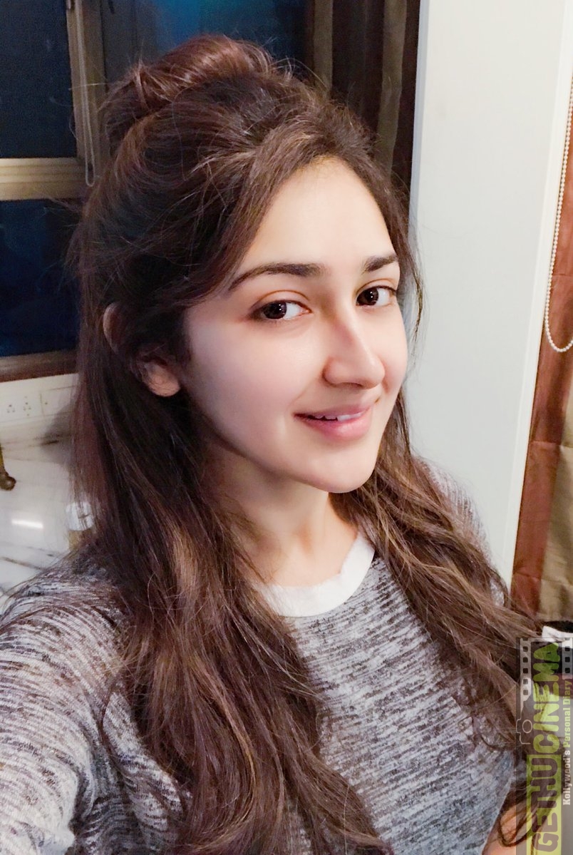 Actress Sayesha Saigal 2017 Cute & HD Photos  Gethu Cinema