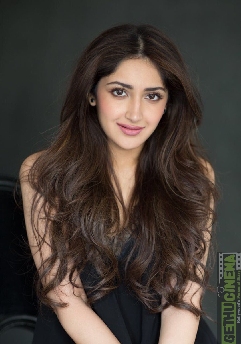 Actress Sayesha Saigal 2017 Cute & HD Photos  Gethu Cinema