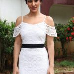 Solo Press Meet HD Photos  (9)