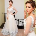 Thupparivaalan Actress Anu Emmanuel 2017 HD Photos (6)