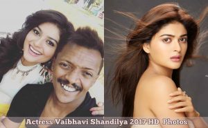 Actress Vaibhavi Shandilya 2017 HD Photos