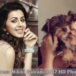 Actress Nikki Galrani HD Photos