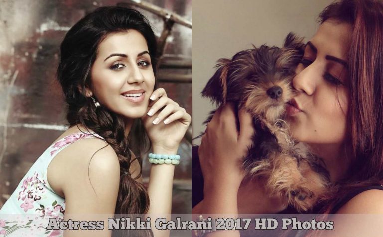 Actress Nikki Galrani HD Photos