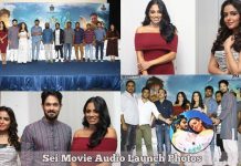 Sei Movie Audio Launch